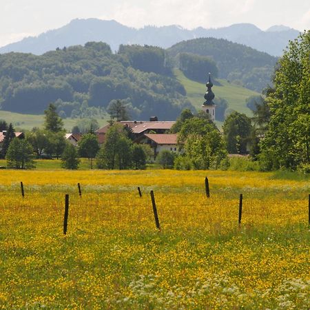 Ferienwohnungen Im Alpengaestehaus Marzoll - Бад-Райхенхалль Экстерьер фото