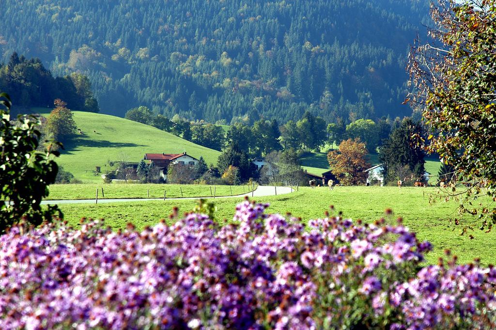 Ferienwohnungen Im Alpengaestehaus Marzoll - Бад-Райхенхалль Экстерьер фото